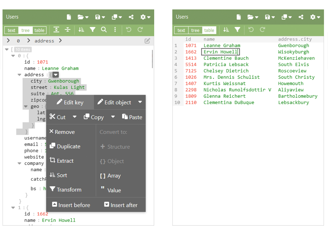 JSON Viewers: Simplifying JSON Visualization